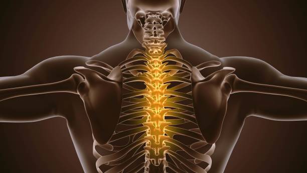 Chiropractic Care Treatment Can Improve Life.
