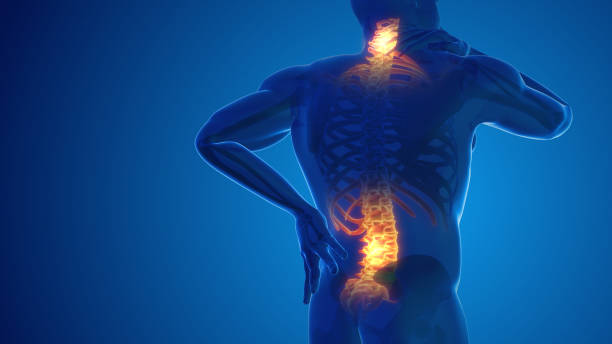 Best Chiropractors in Jacksonville For The Treatment Of Back Pain